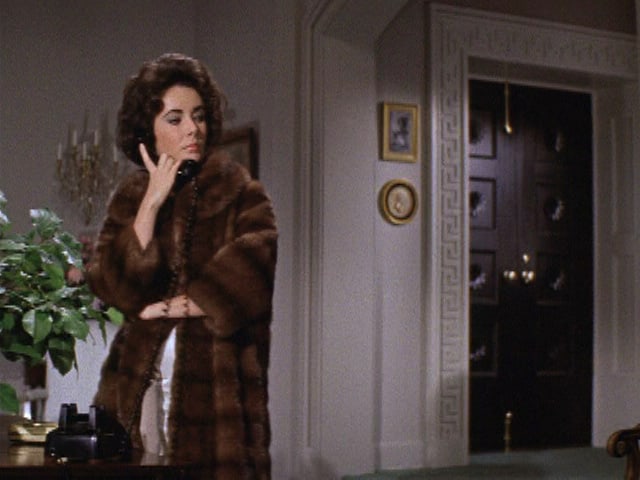 Elizabeth Taylor Butterfield 8